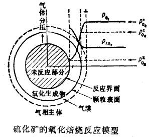 回轉(zhuǎn)窯硫化礦焙燒模型